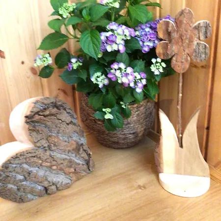 Apartament Haus Am Seeufer, Weißenstadt